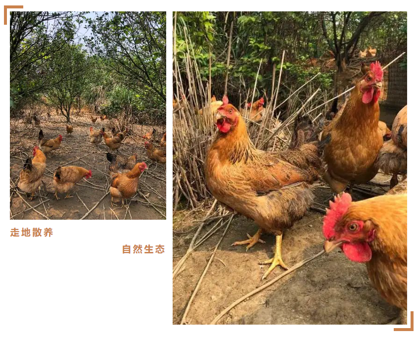 1719820061315494.png QQ截圖20240701154725.png